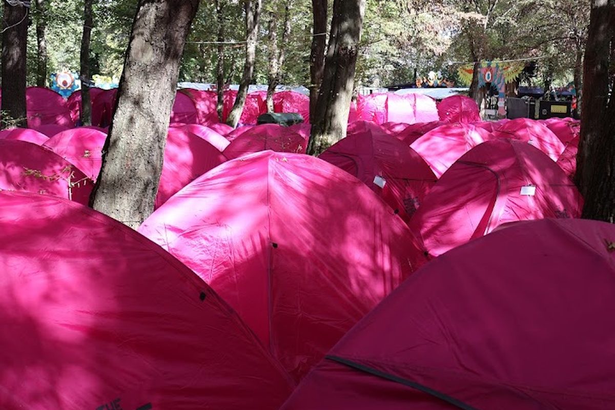 Camping München Thalkirchen campsite in Munich — photo 2