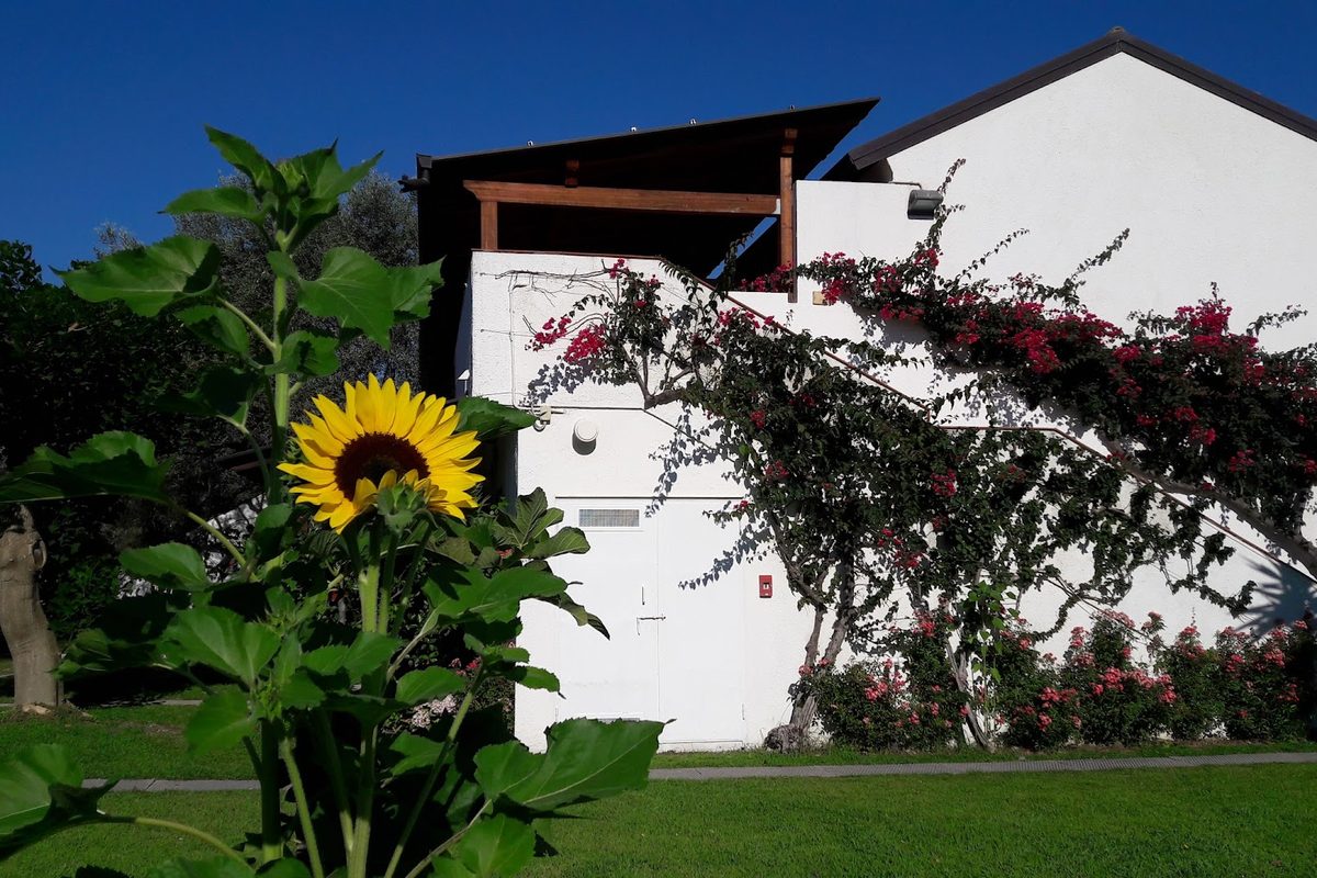 Camping Nausicaa Village campsite in Sant'Andrea Apostolo dello Ionio — photo 5