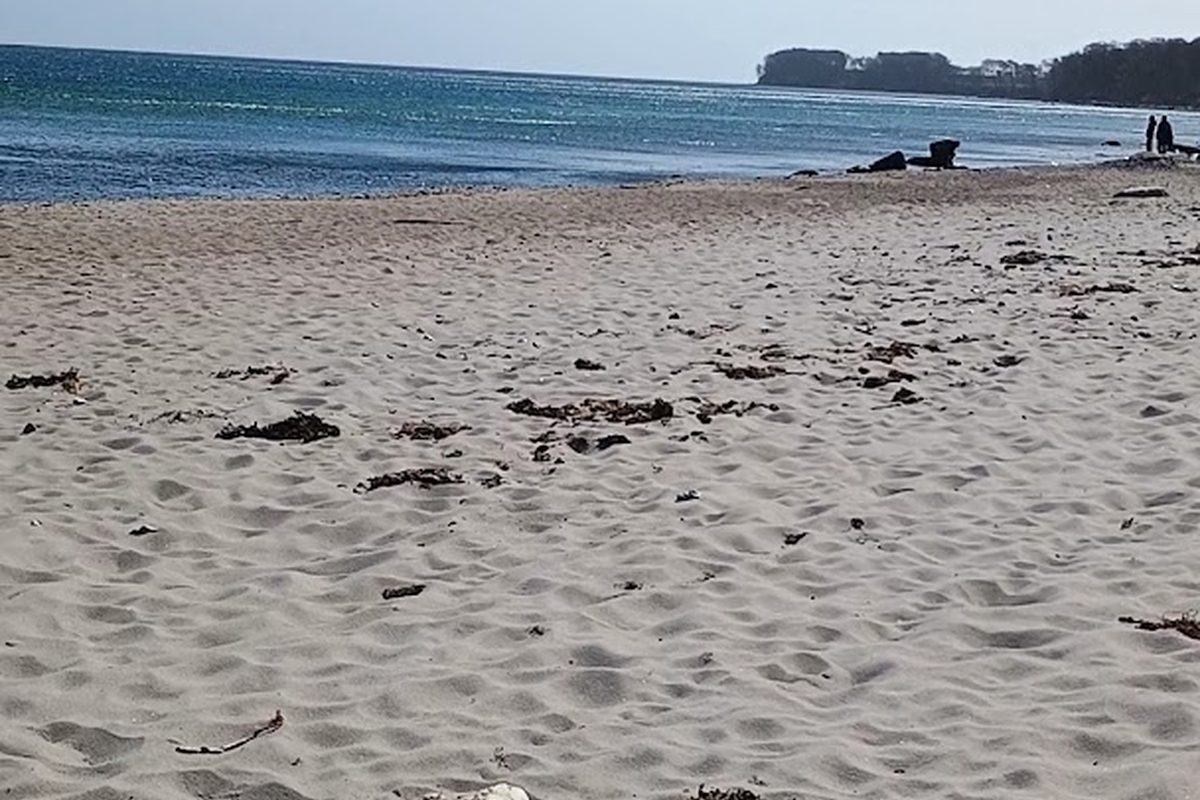 Photo of Camping Ostsee Katharinenhof