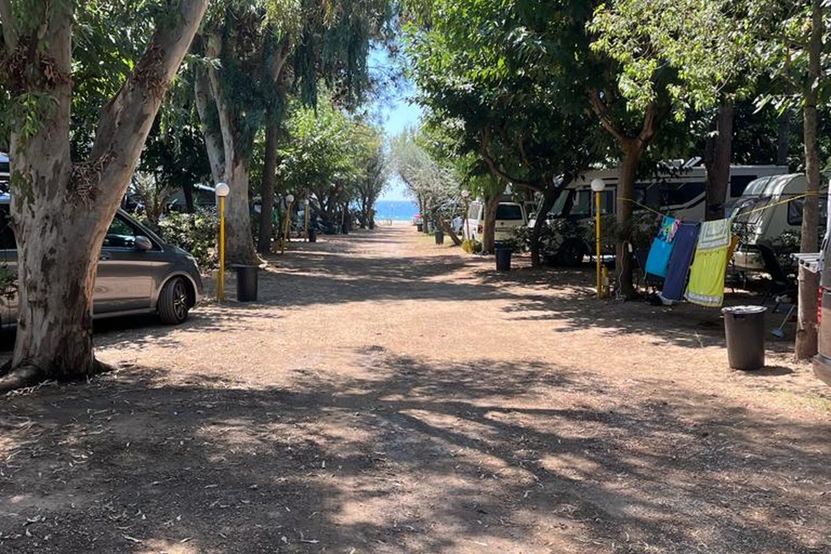 Camping Palouki campsite in Amaliáda — photo 4