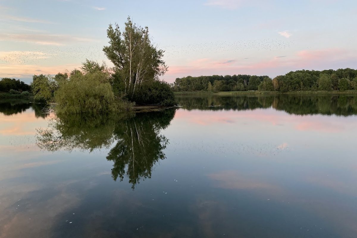 Camping Paradiessee Gbr campsite in Wendeburg — photo 4