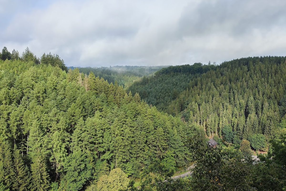 Camping Perlenau campsite in Monschau — photo 5
