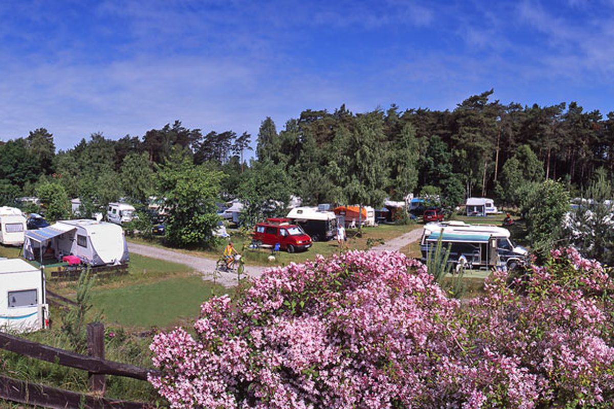 Camping Prora campsite in Prora — photo 2