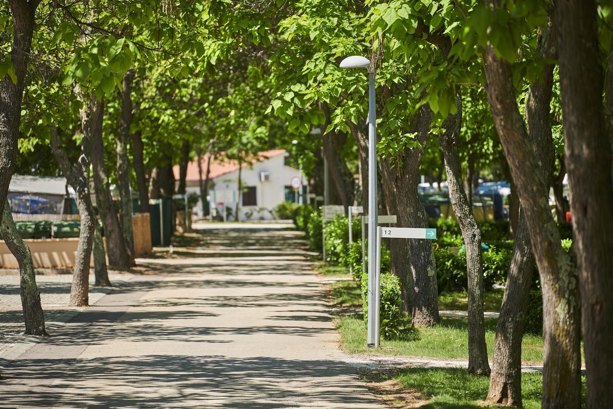 Camping Puntica - Istracamping campsite in Poreč — photo 5