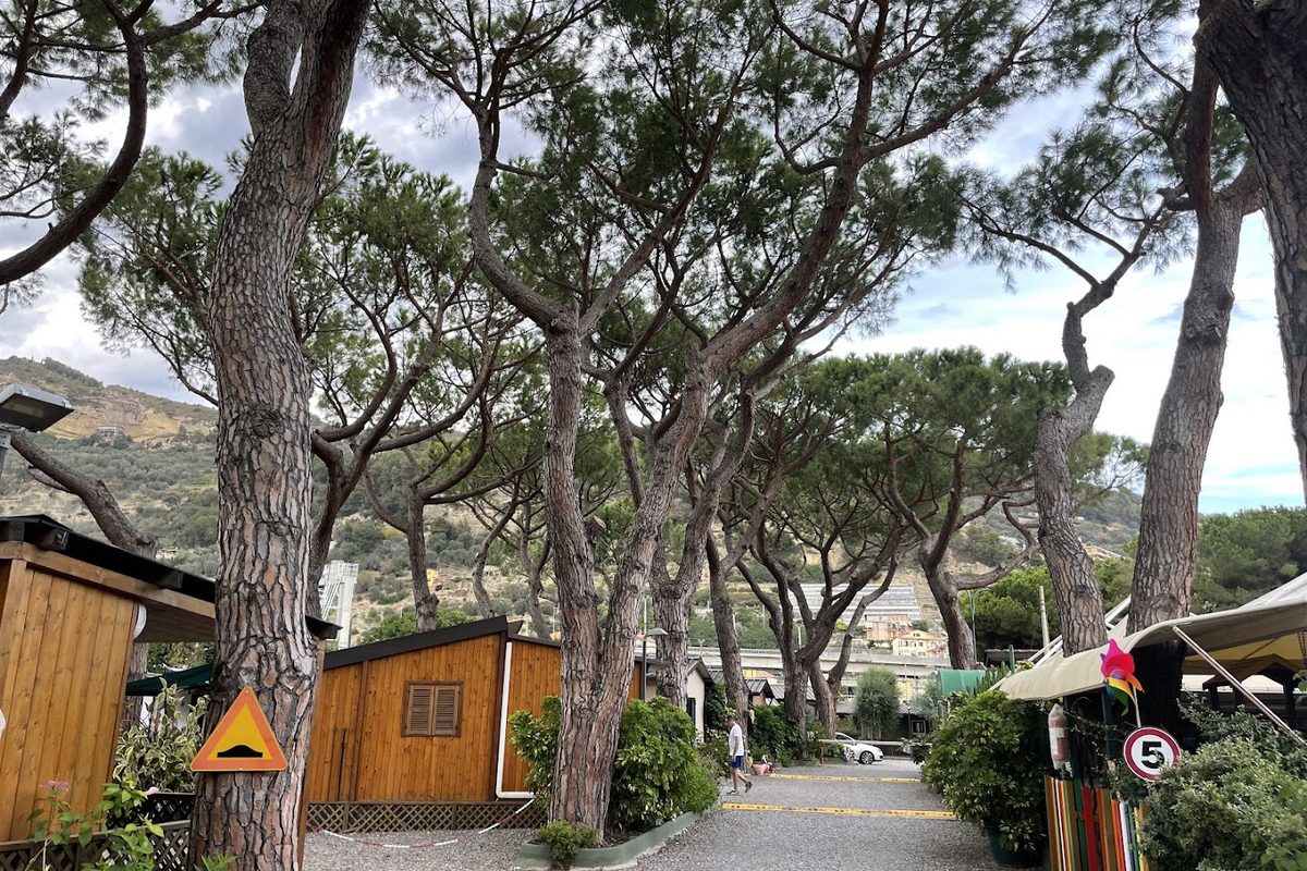 Camping Roma campsite in Ventimiglia — photo 3