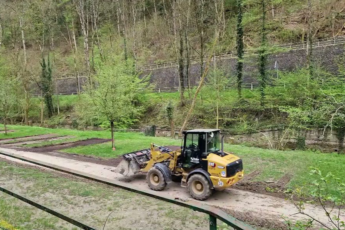 Camping Schausten campsite in Cochem — photo 5