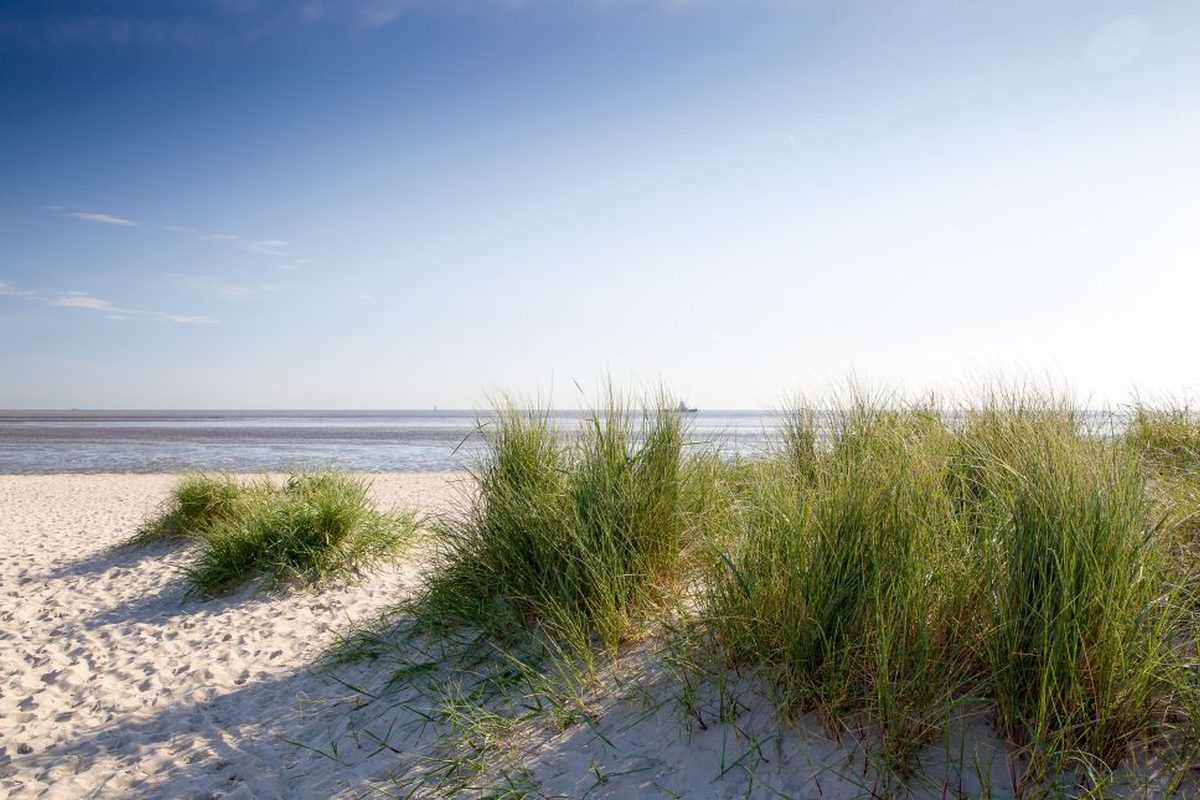 Camping Schillig campsite in Wangerland — photo 4