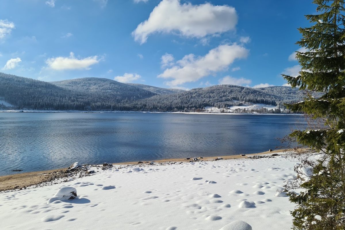 Camping Schluchsee campsite in Schluchsee — photo 3