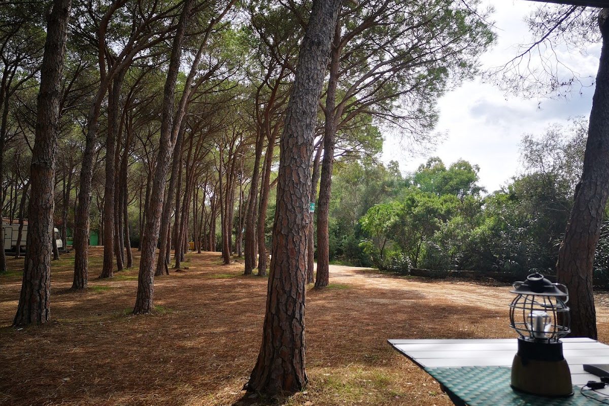 Camping Selema campsite in Siniscola — photo 2