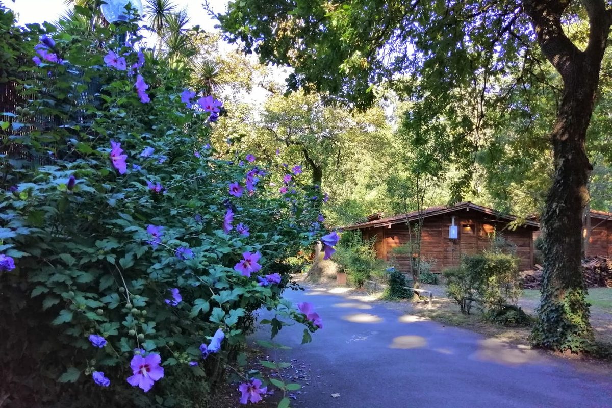 Camping Seven Hills Village campsite in Rome — photo 4