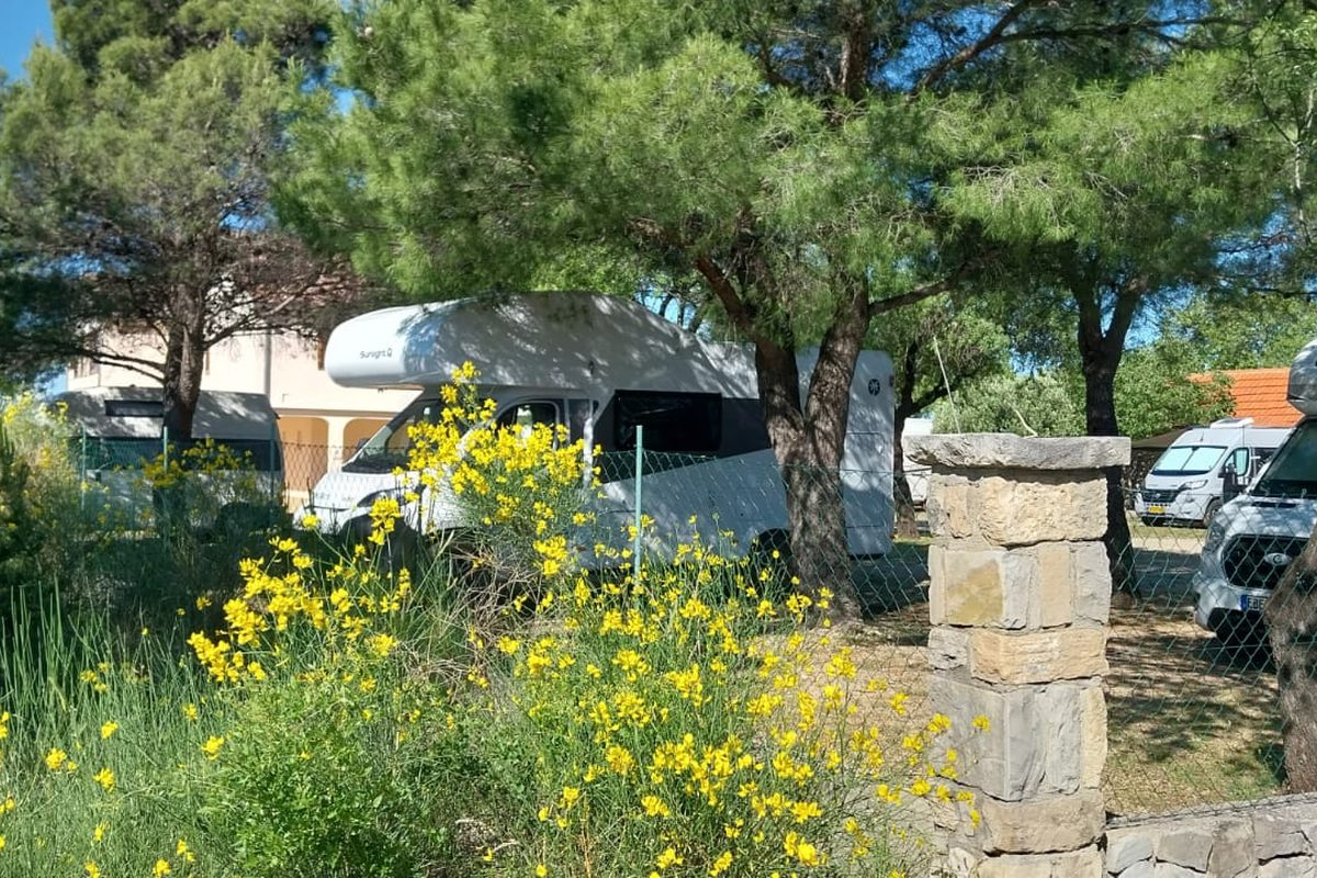 Camping Skradin-Skorići campsite in Skradin — photo 5