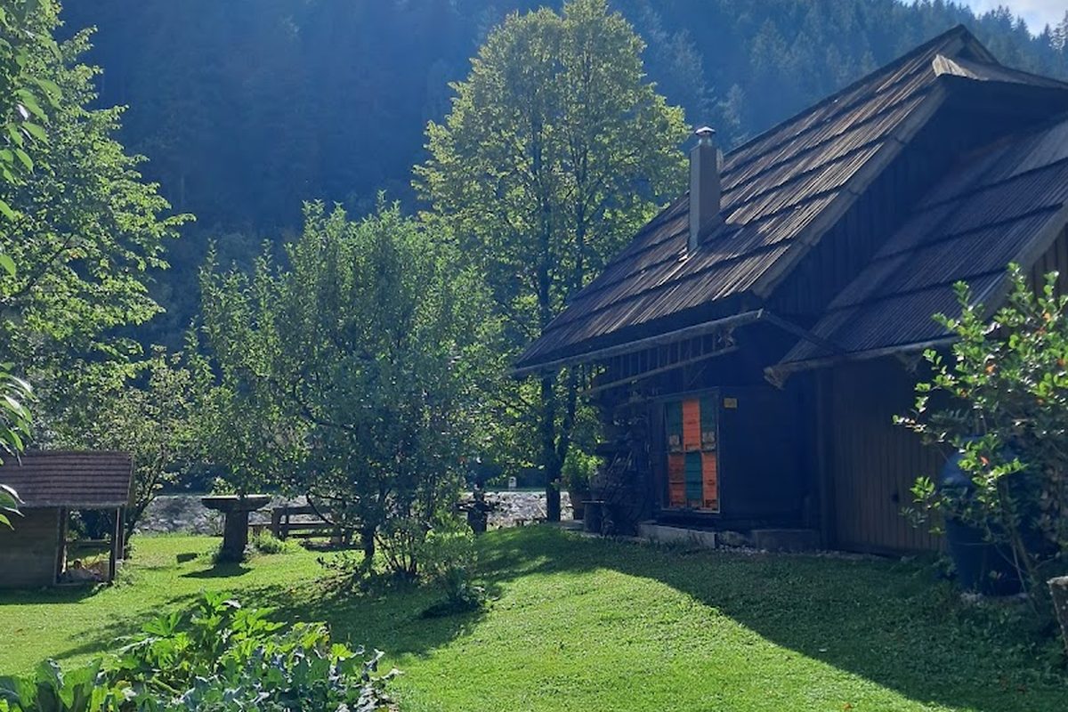 Camping Smica campsite in Luče — photo 4
