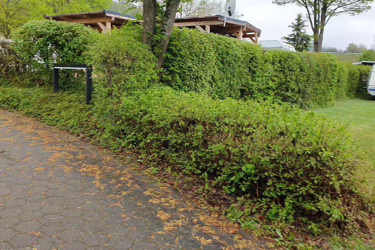 Photo of Camping Stadtsteinach