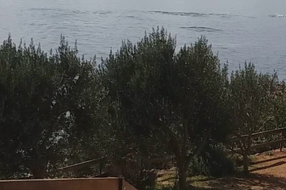 Camping Stine campsite in Starigrad — photo 3