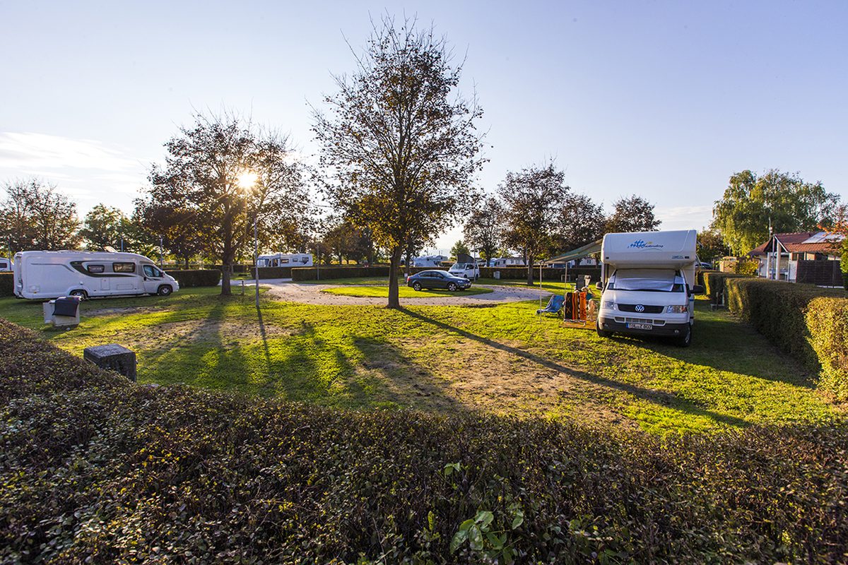 Camping Terme Ptuj - Sava campsite in Ptuj — photo 2