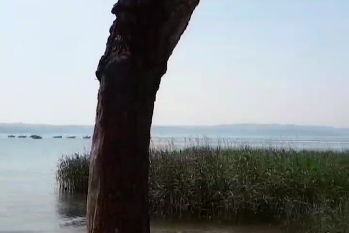 Camping The Garda Village campsite in Sirmione — photo 5