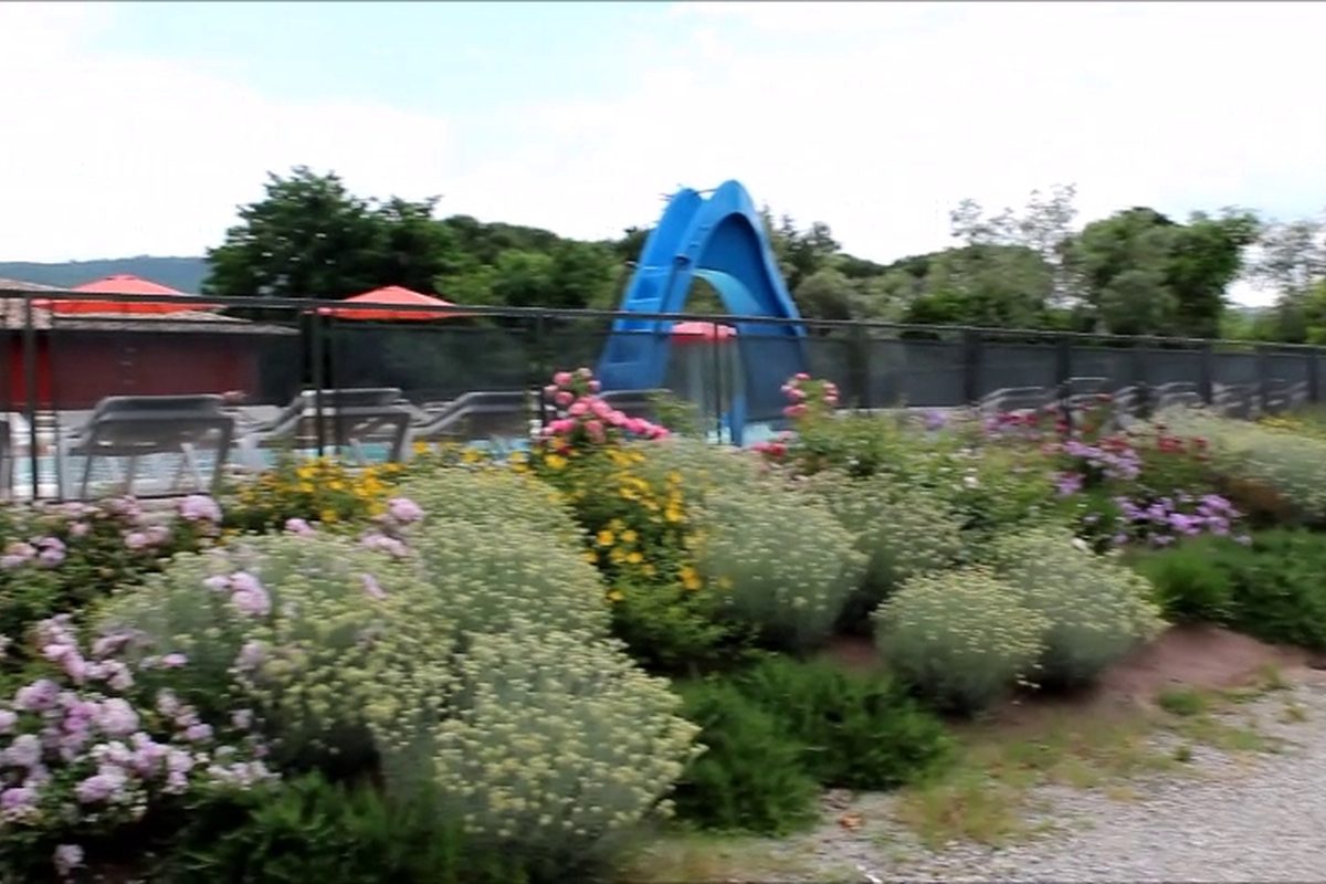 Photo of Camping Trasimeno