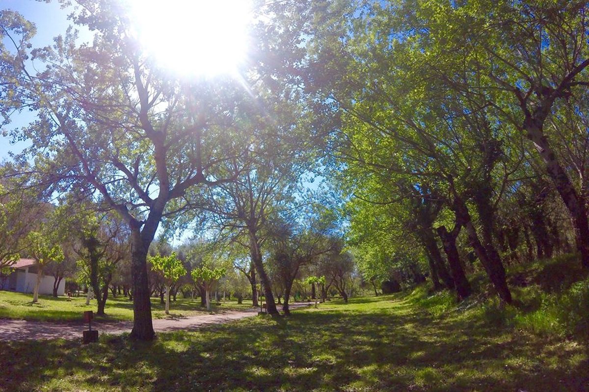 Camping Vassiliki-Beach campsite in Vasilikí — photo 2