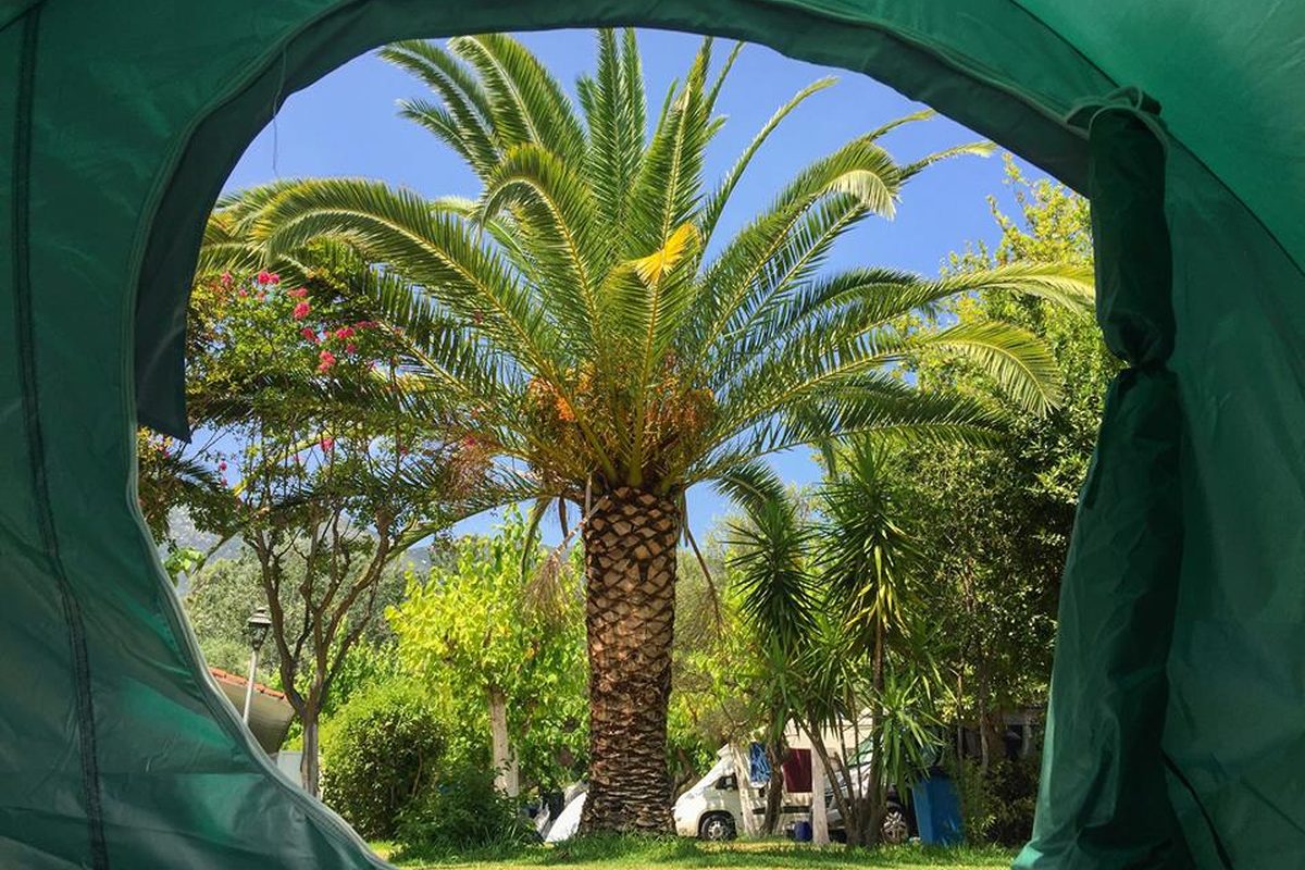 Camping Vassiliki-Beach campsite in Vasilikí — photo 3