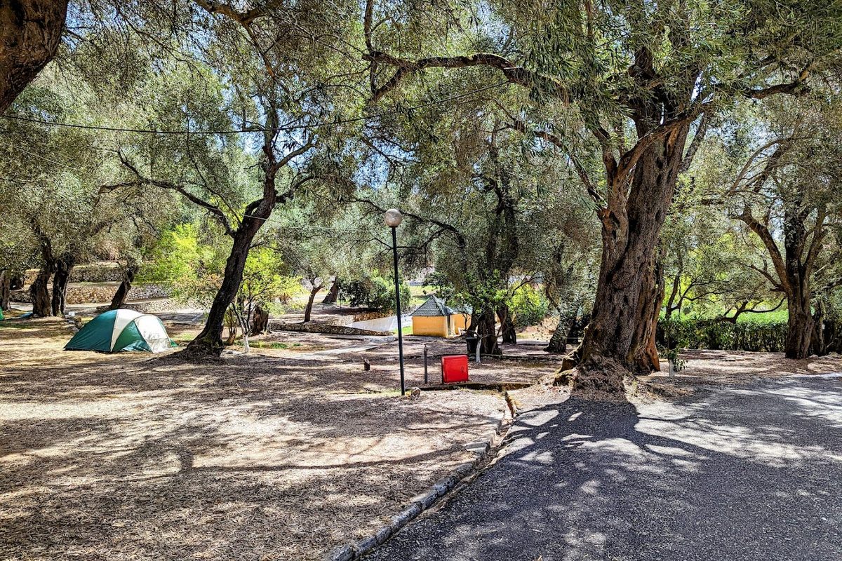 Camping Village Dionysus campsite in Dassia — photo 3