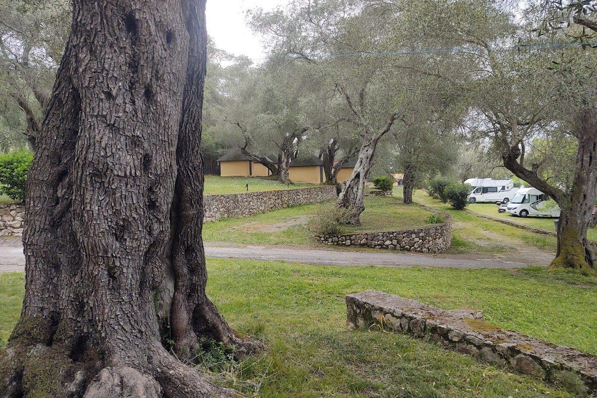 Camping Village Dionysus campsite in Dassia — photo 4