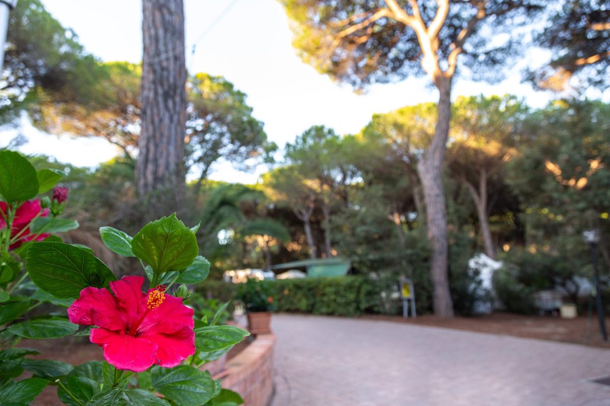 Camping Village Il Sole campsite in Marina di Grosseto — photo 3