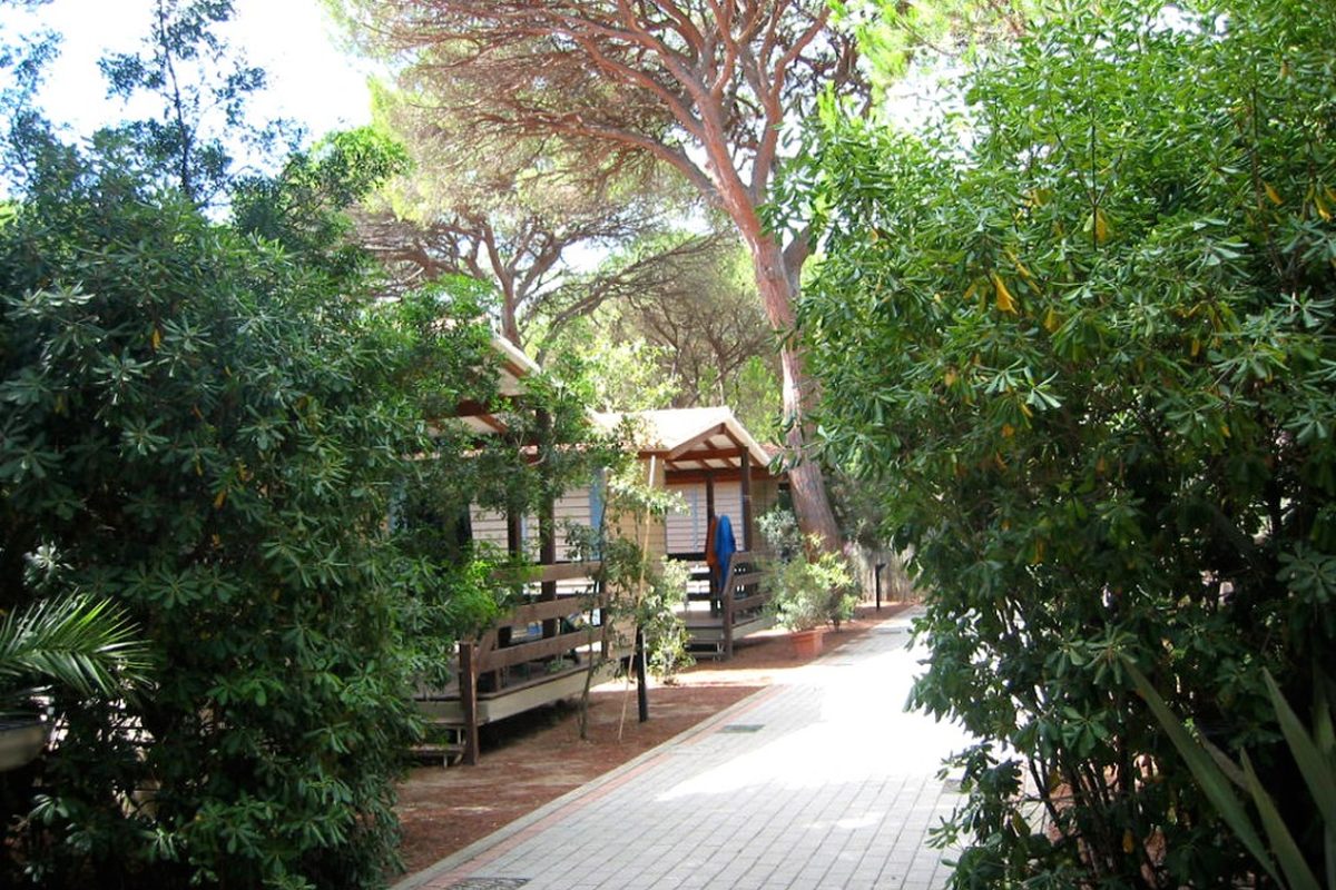 Camping Village Il Sole campsite in Marina di Grosseto — photo 5