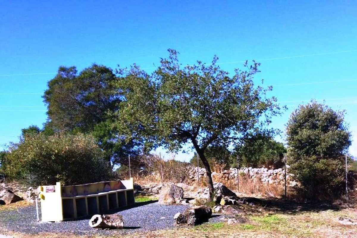 Camping Village Nuraghe Ruiu campsite in Norbello — photo 5