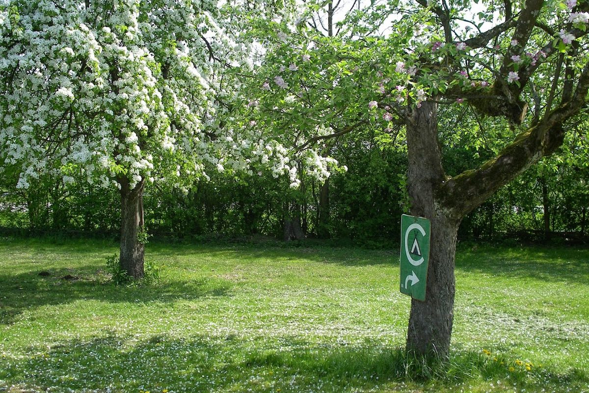 Camping Wahlwies campsite in Stockach — photo 3