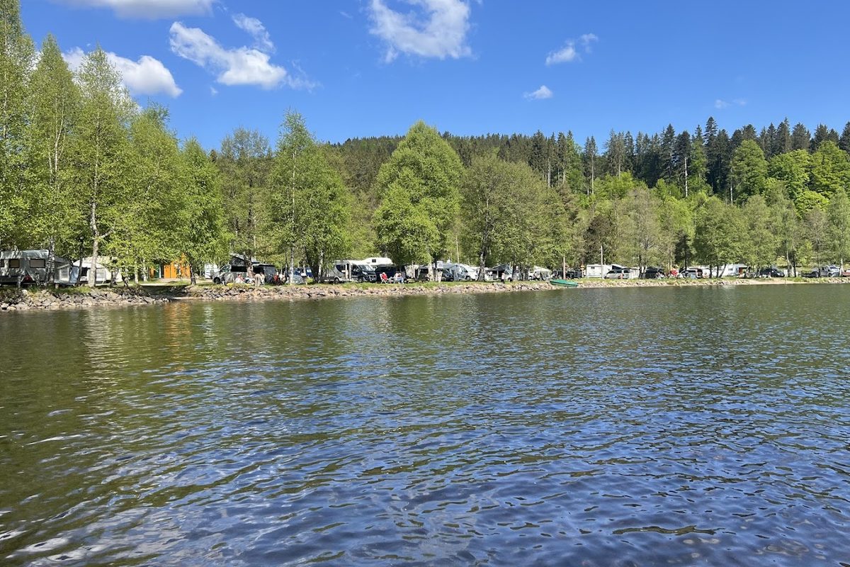 Camping Weiherhof campsite in Hinterzarten — photo 4