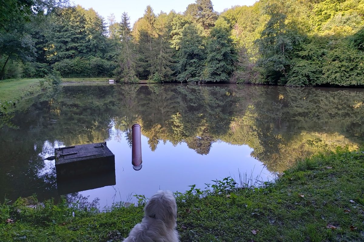 Camping Weihersee campsite in Ebrach — photo 4