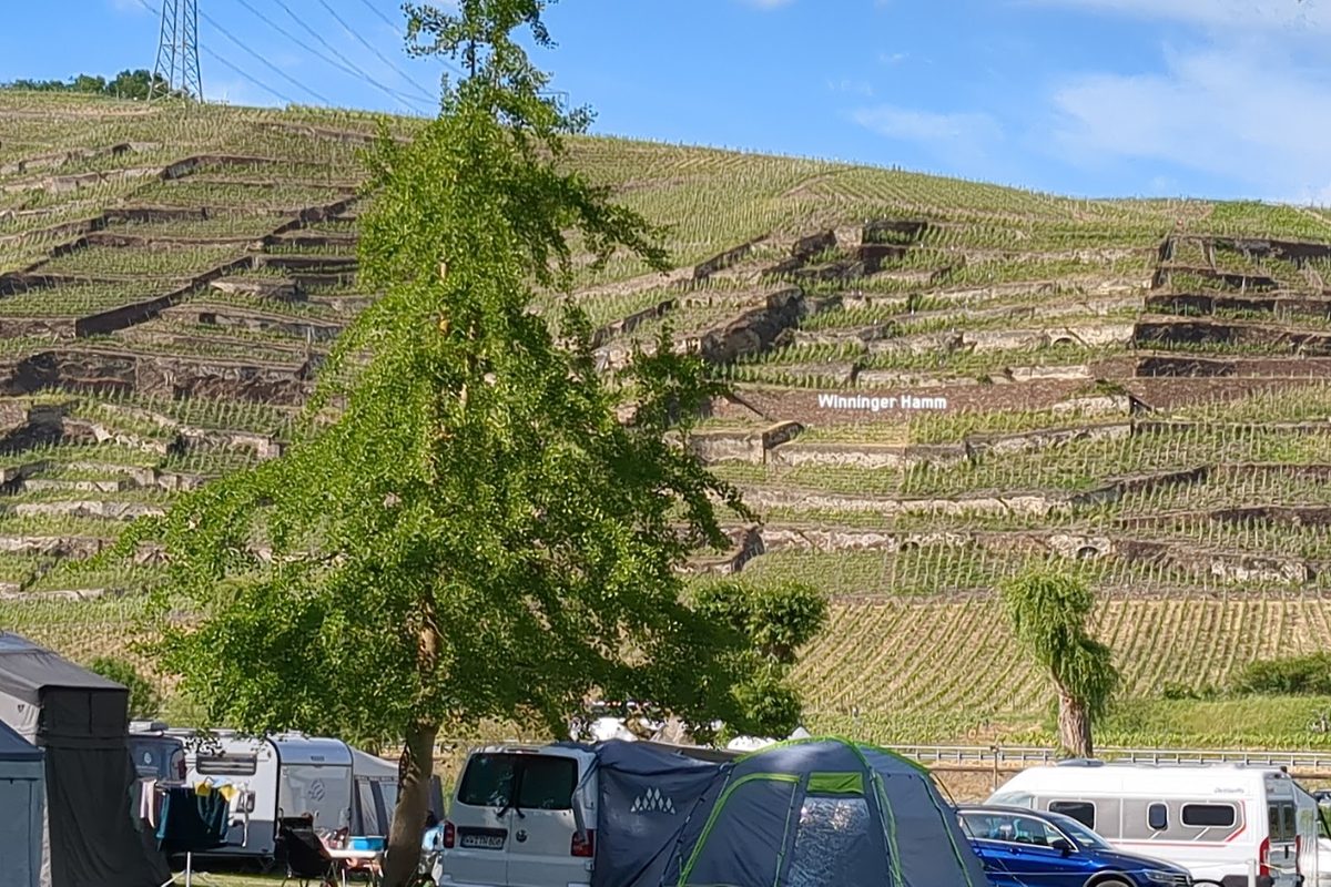 Camping Winningen campsite in Winningen — photo 3