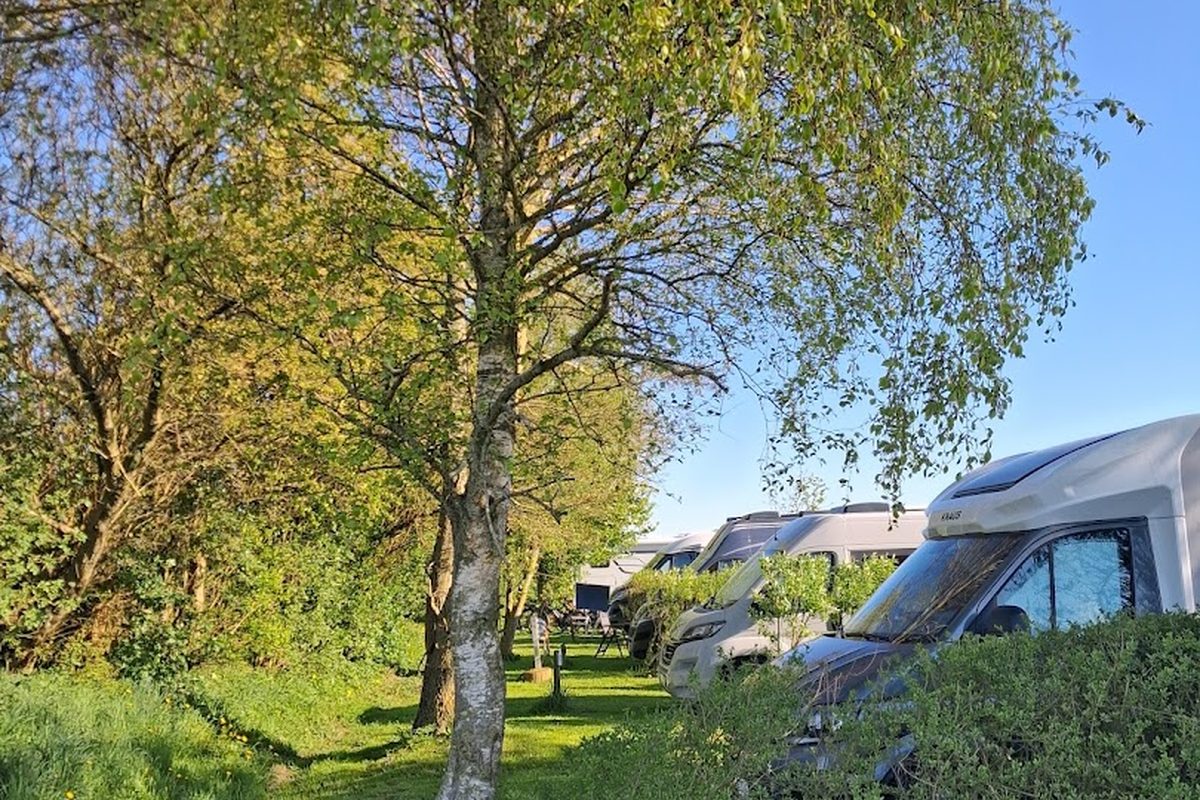 Camping Womoland Nordstrand campsite in Pohnshallig — photo 3