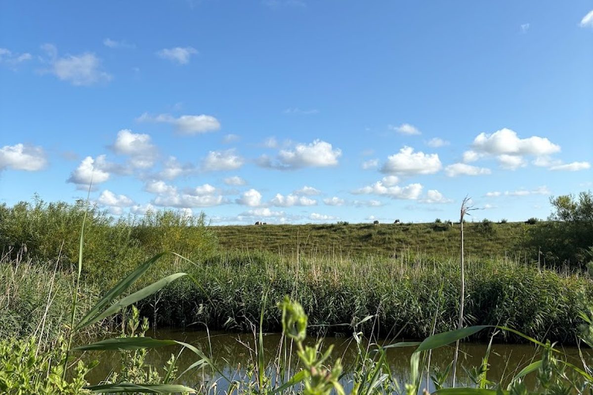 Camping Womoland Nordstrand campsite in Pohnshallig — photo 4