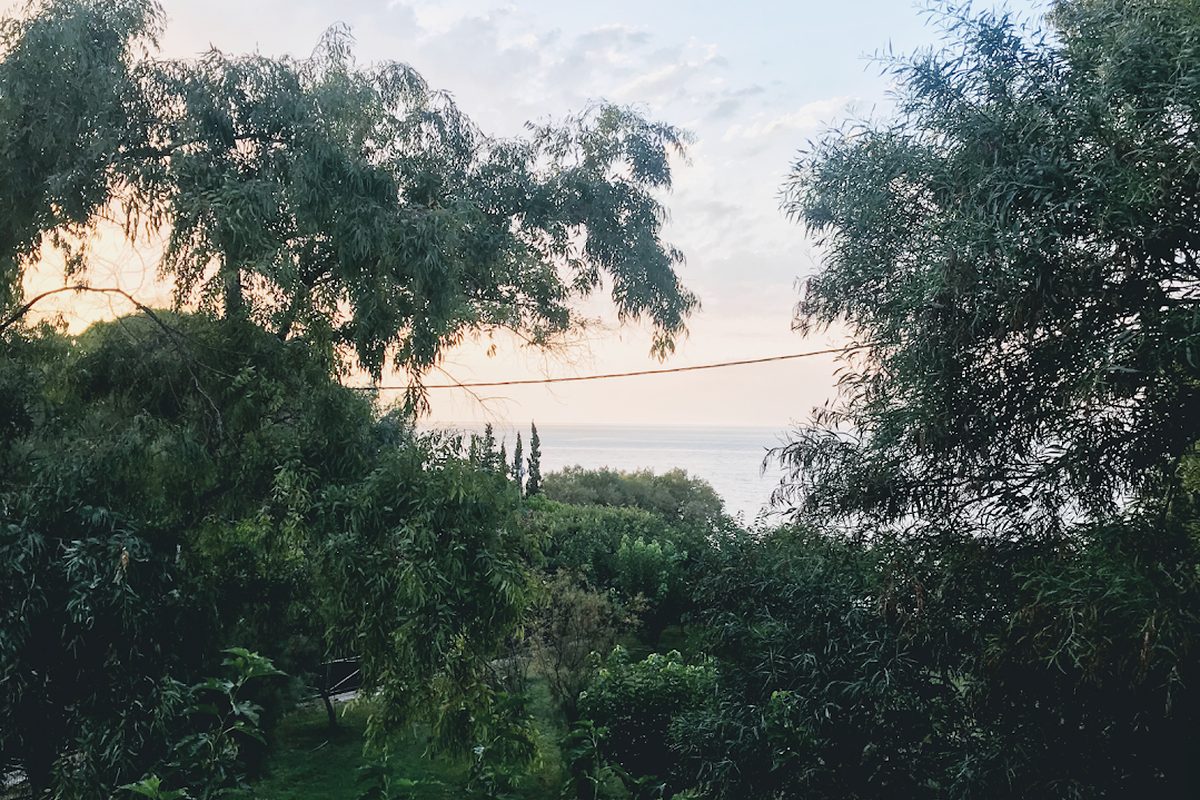 Photo of Camping Zante