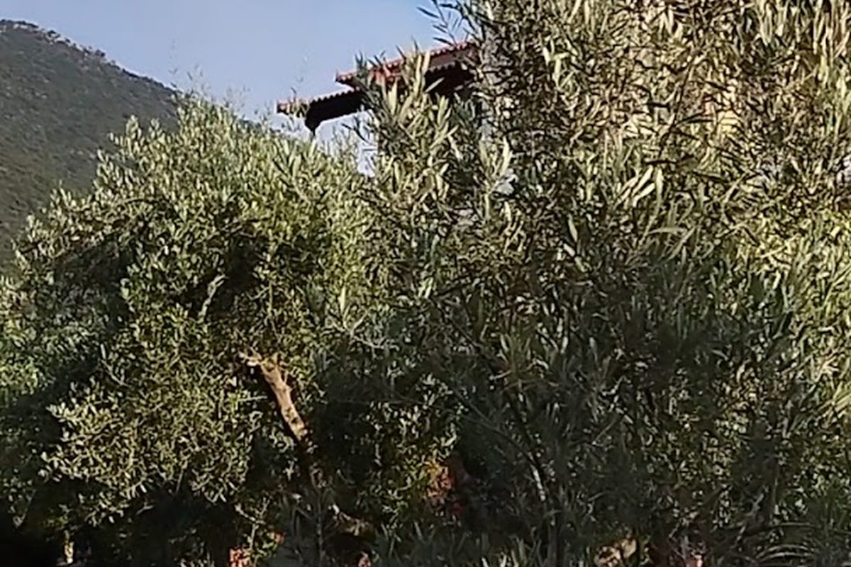 Photo of Camping Zaritsi
