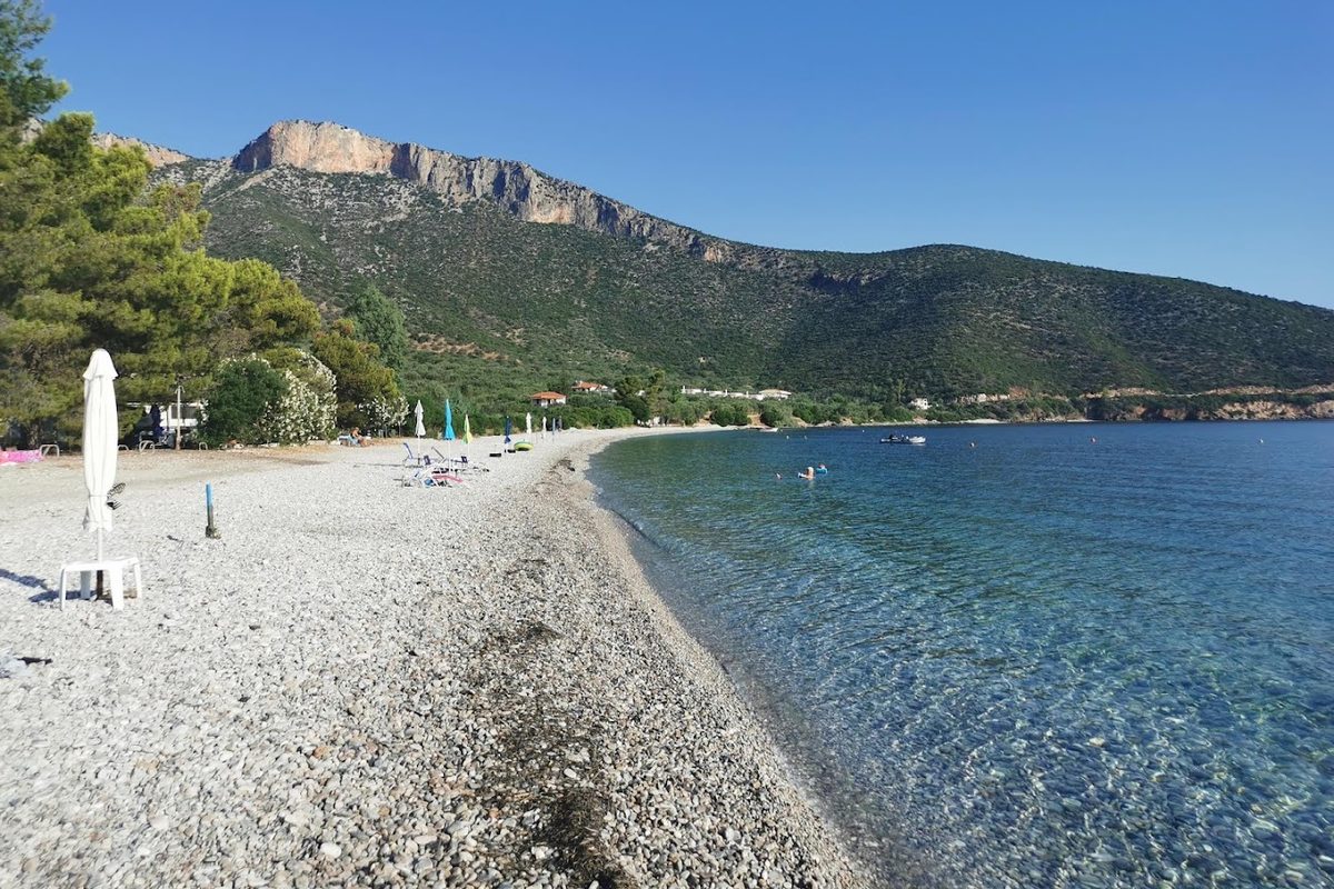 Camping Zaritsi campsite in Tyrós — photo 2