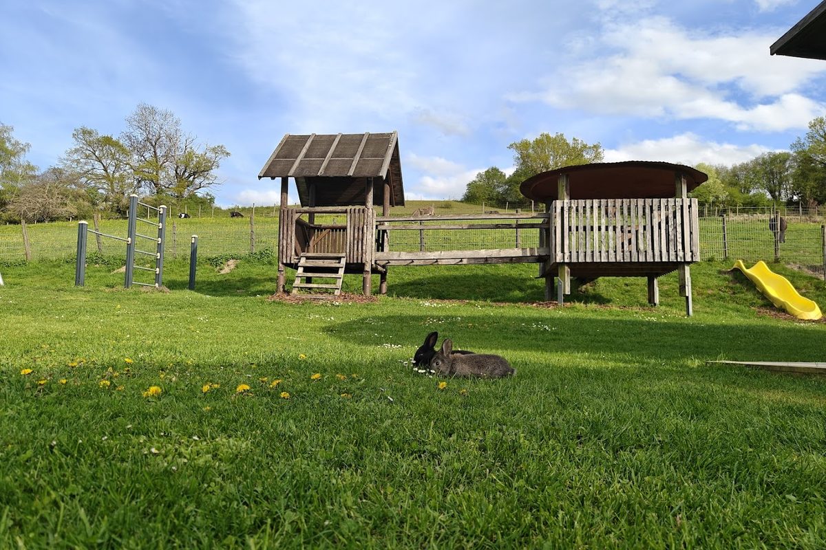Campinghof Salem campsite in Salem — photo 5