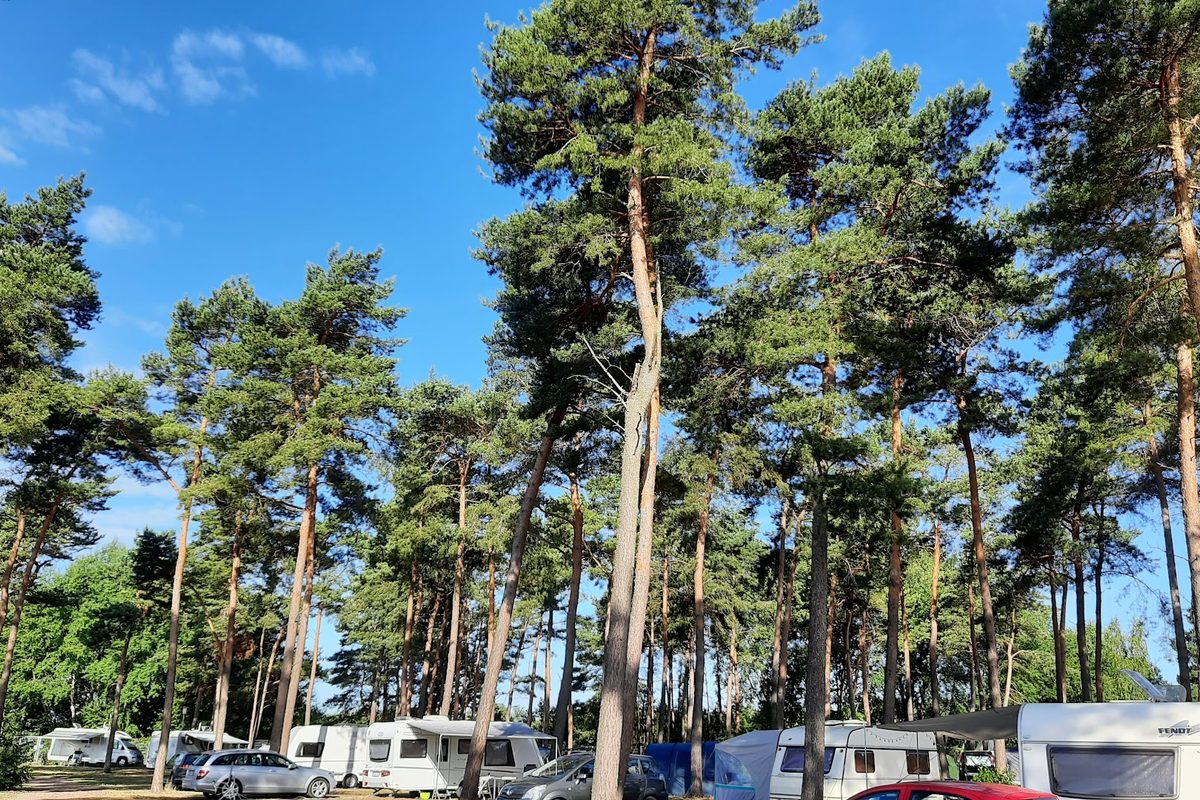 Campingpark Haddorfer Seen campsite in Wettringen — photo 3