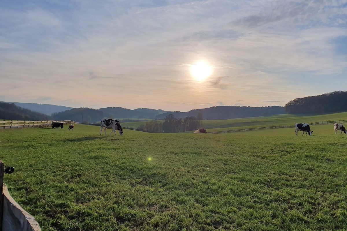 Campingpark Im Bergischen Land campsite in Lindlar — photo 3