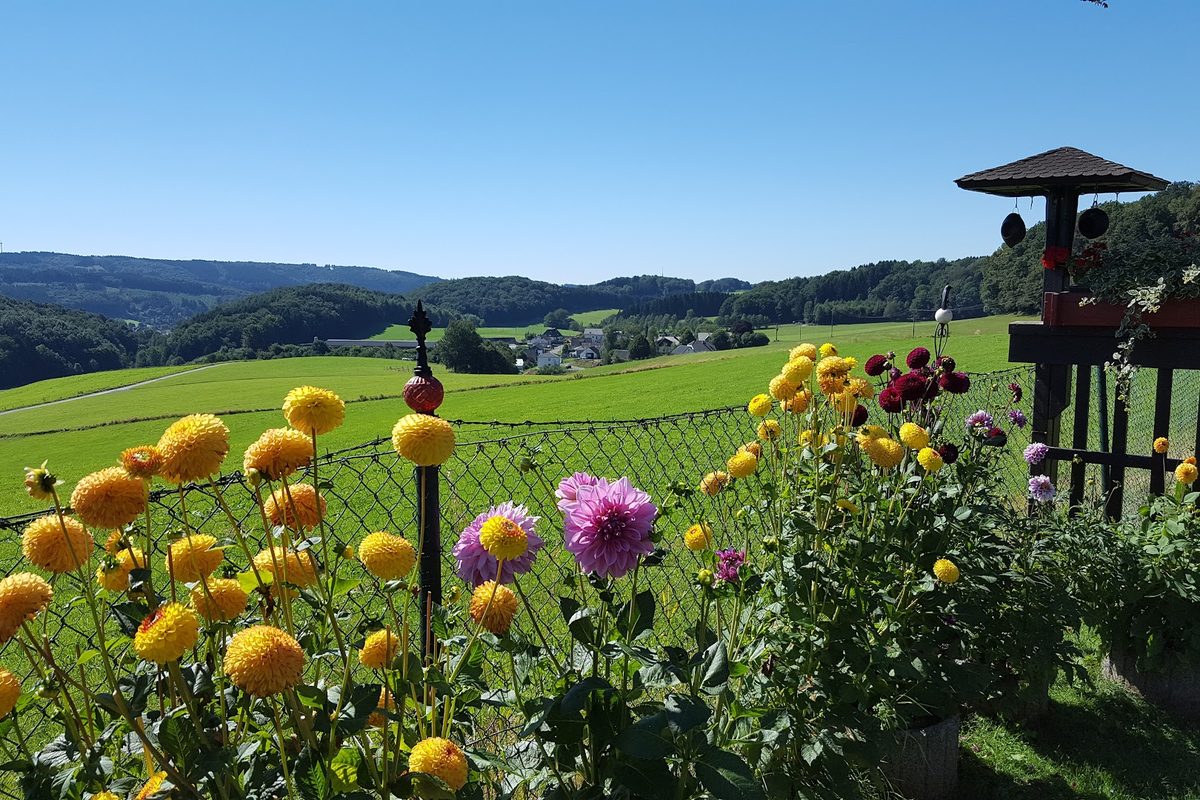 Campingpark Im Bergischen Land campsite in Lindlar — photo 4