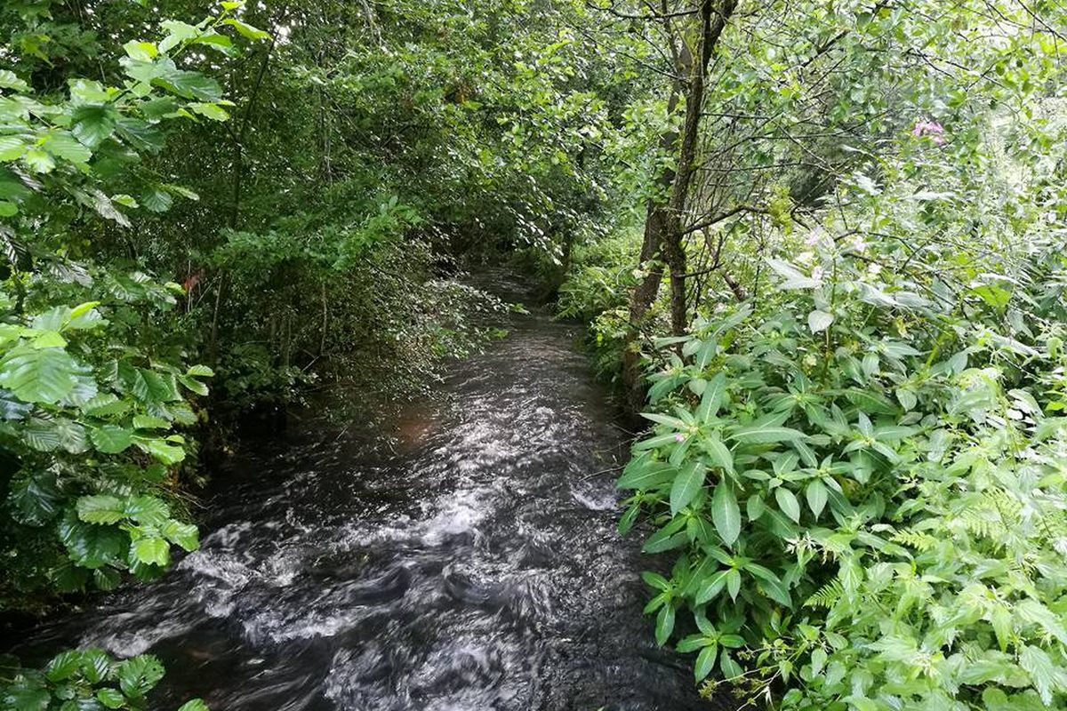 Campingpark Kirchzell campsite in Kirchzell — photo 4