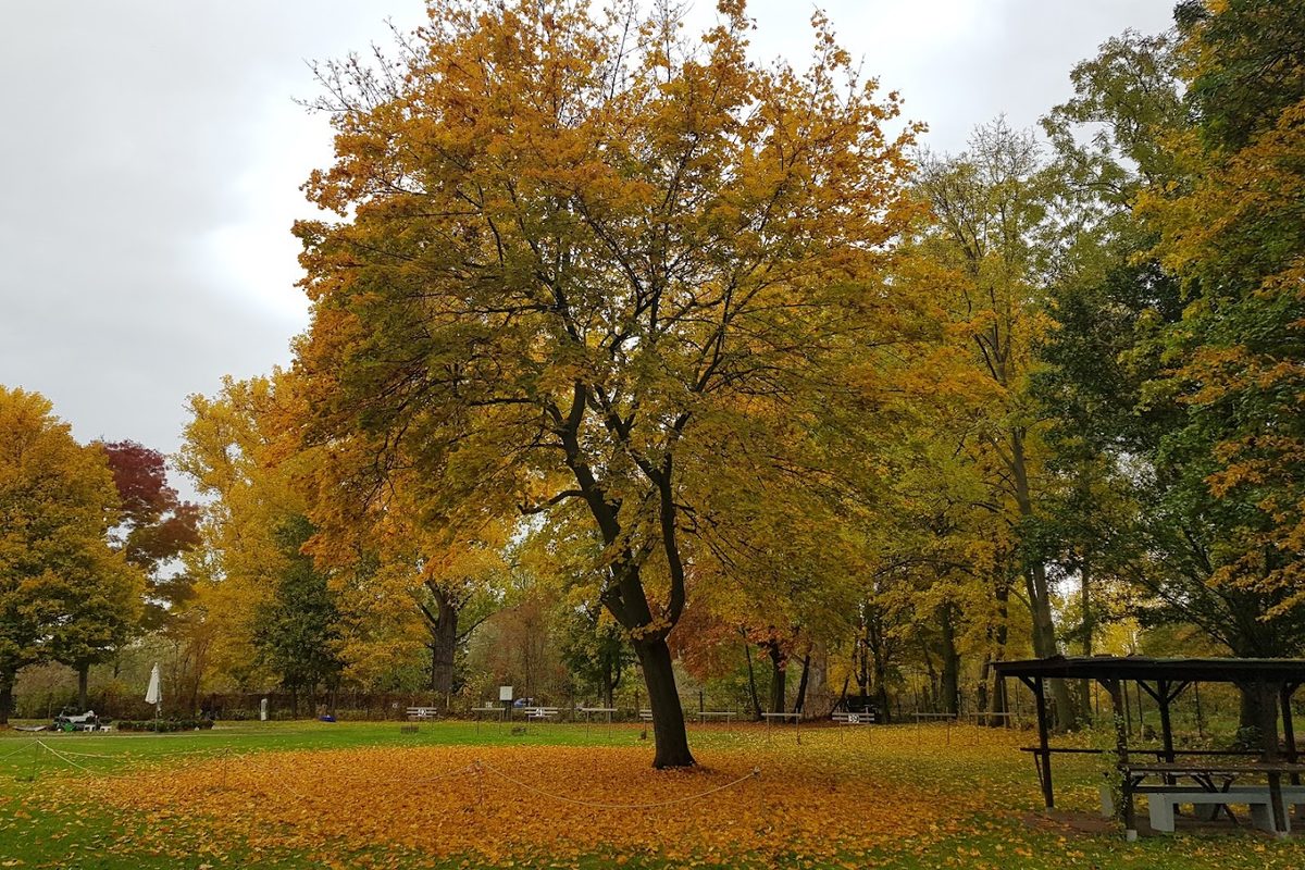 Campingplatz Maaraue campsite in Wiesbaden — photo 5