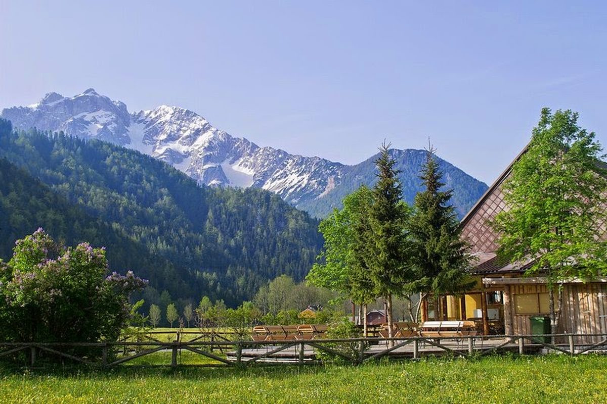 Cvet gora Jezersko camp campsite in Spodnje Jezersko — photo 2