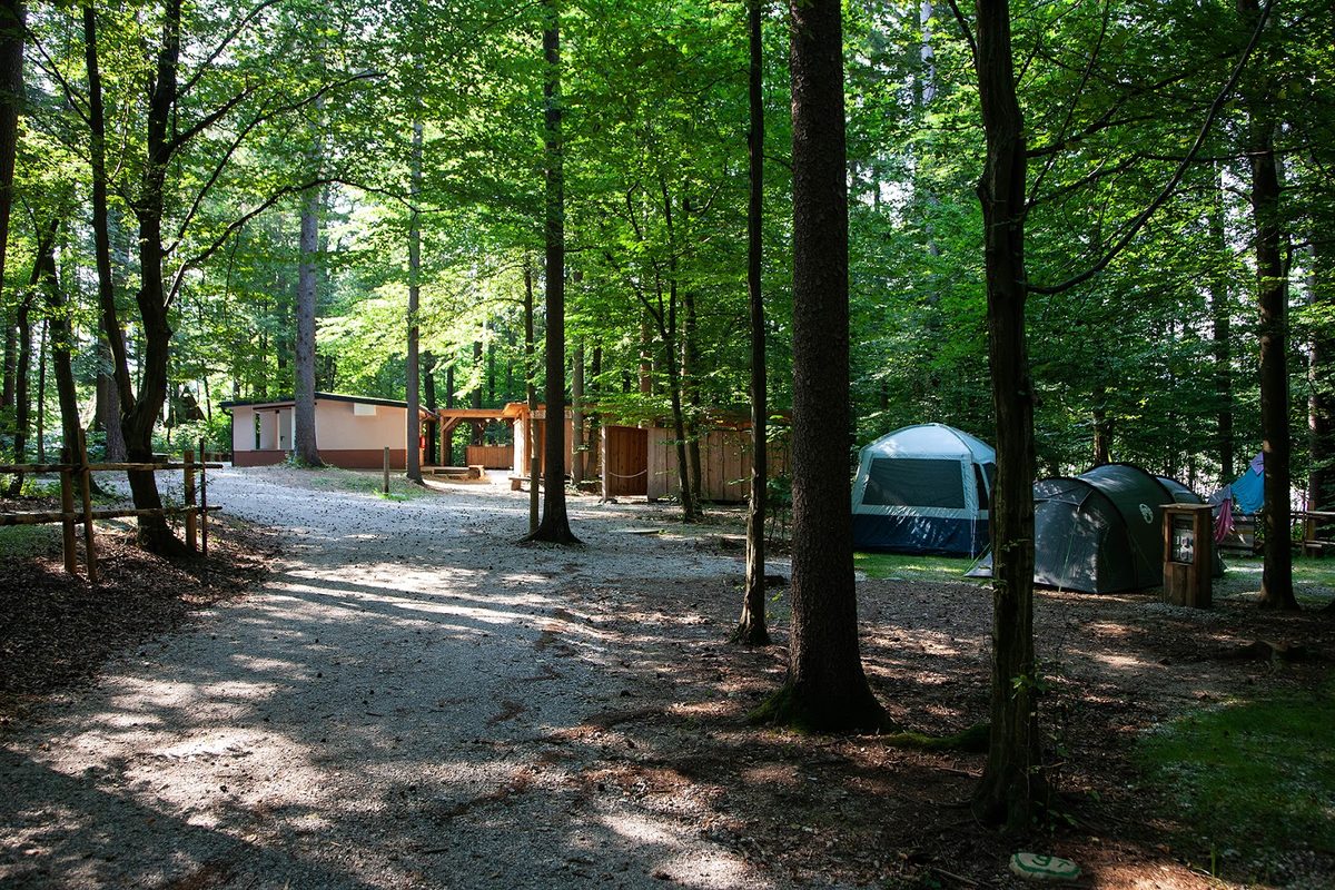 Forest Camping Mozirje campsite in Mozirje — photo 4