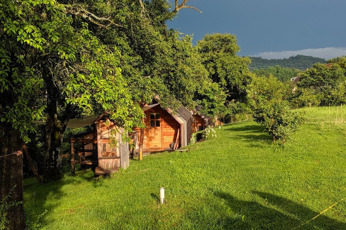 Glamping Organic Farm Slibar campsite in Tržič — photo 2