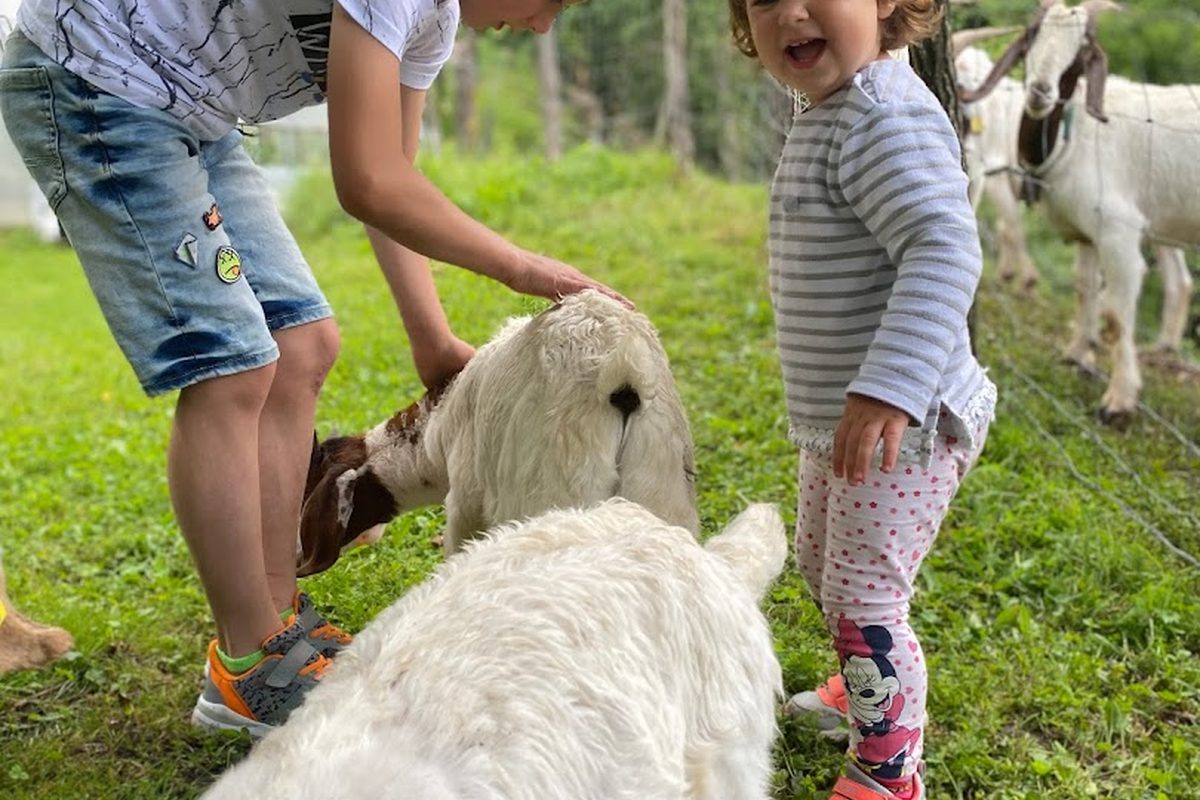 Gozdna Jasa Glamping campsite in Bovec — photo 4