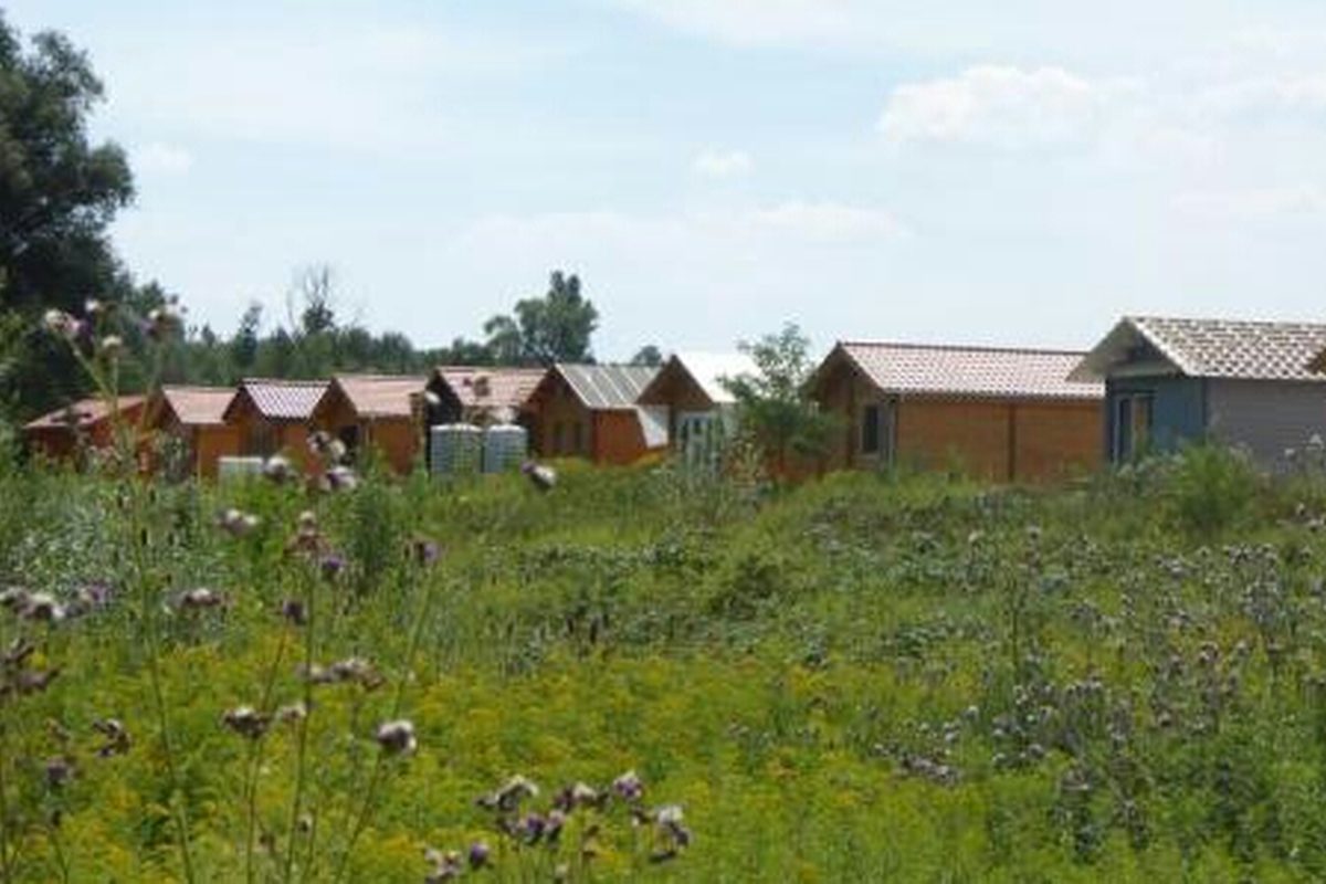 Inselcamping Kollersee campsite in Otterstadt — photo 5