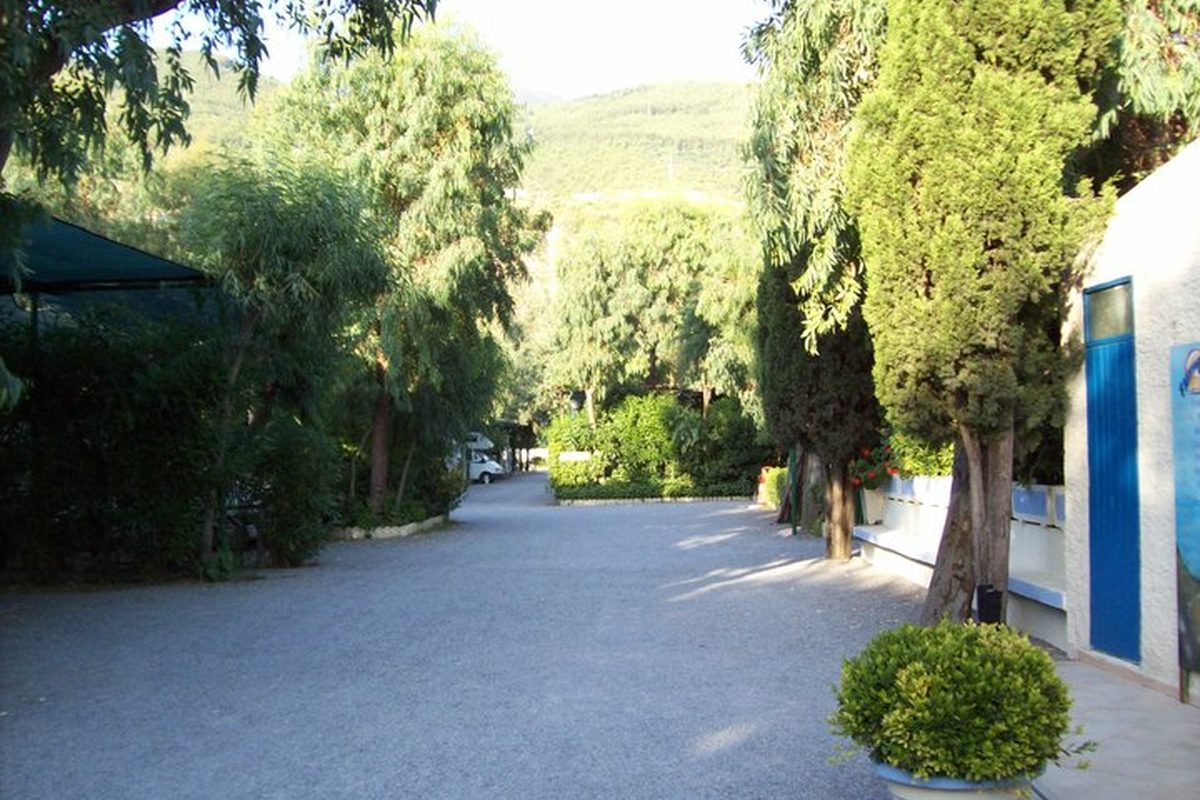 International Camping Village campsite in Praia a Mare — photo 5