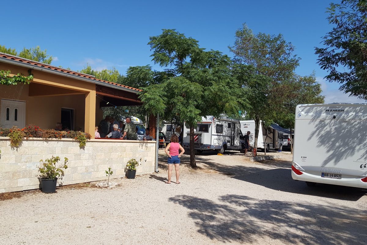 Kamp Maslina Drage campsite in Drage — photo 2